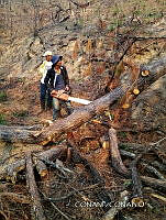 WH002 014 apertura de camino de la zona siniestra por el incendio de benito juarez.jpg