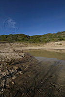 imontes_MG_9478.jpg