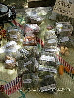 CGL4666 Hierbas medicinales.jpg