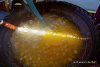 3R 01383 Zea mays.jpg