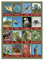 planilla2.pdf