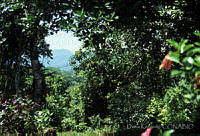 DK1063 Tapijulapa, Tabasco.jpg