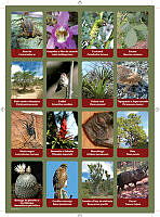planilla8.pdf