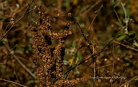 FBA1209 Santa María Huatulco_23.jpg