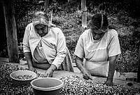 OON04 San Jerónimo Acazulco, Estado de México.jpg