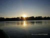 TE001 0229 Hábitat de Crocodylus acutus.jpg