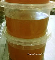 ZG013 0360 Apis mellifera.jpg