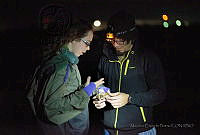 MEP10 Limulus polyphemus.jpg