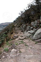 CGL5354 sendero rocoso (2).jpg