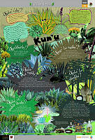 CHICHIMECA_magueyes.jpg