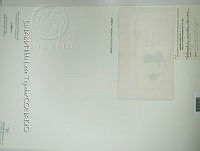 KT016 0077 Hydrocoleum comoides.jpg