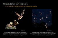 12 Servicios ecologicos OK.jpg