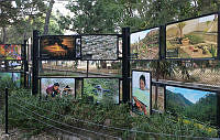Exposición zoológicos 3 Exposición en los zoológicos.jpg