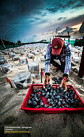 52_HUMANO_EXPO_2016-12-13_201802_7445.jpg