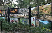 Exposición zoológicos 3 Exposición en los zoológicos.jpg