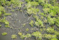 MOax0003 Tecomate, Oaxaca.jpg