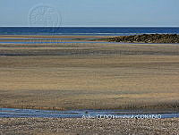 NBA0098 Puerto Peñasco, Sonora.JPG