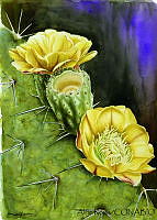 AR0008 Opuntia streptacantha.jpg