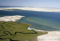 CNS0479 Laguna San Ignacio, Baja California Sur.jpg