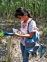 MCMG006 Veracruz, Veracruz.jpg