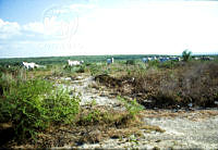 FGM2010 San Fernando, Tamaulipas.JPG