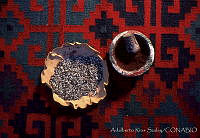 ARS00197 Dactylopius coccus.jpg