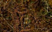 FBA1209 Santa María Huatulco_23.jpg