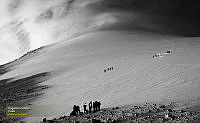 57_HUMANO_EXPO_2017-01-27_164423_9732.jpg