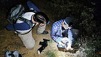 WI005 0082 Tliltocatl schroederi.jpg