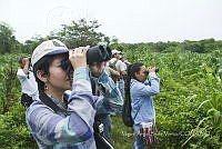 MASM07248 Observación de aves.jpg