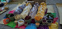 FBA0870 Zea mays.jpg
