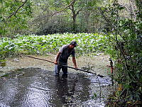 JVB0050 La Mancha, Veracruz.jpg