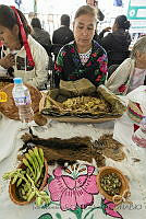 IMDOC3309 Agave y Capra aegagrus hircus.JPG