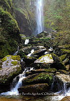 FBA1063 Las cascadas Comaltepec_04.jpg