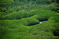 MJalisco0003.jpg