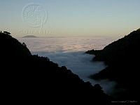 MGvarios70 Oaxaca, México.jpg