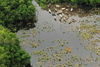 MJalisco0001 Centinela Uno, Jalisco.jpg