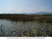 GRS020 Pátzcuaro, Michoacán.JPG