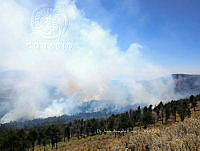 XR004 0002 Incendio forestal.jpg