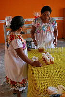 CD0313 Melipona sp..jpg