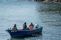 IDG Nat 0067 Pesca en la Isla.jpg