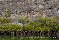 OAO0166 Isla San José, Baja California sur.jpg