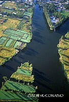 3R 01303 Vista aerea de zona chinampera.jpg