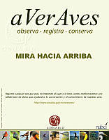triptico averaves.pdf