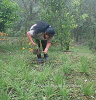 RG055 0225 Agricultor.JPG