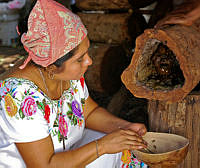 DSC_2478 (miel melipona) Christian Dreckmann.jpg