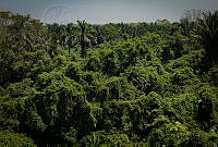 FBA0650 Comalcalco, Tabasco.jpg