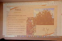 0Q0A8121 Taller de plantas medicinales.jpg