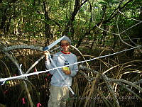 LRGA004 Actopan, Veracruz.jpg