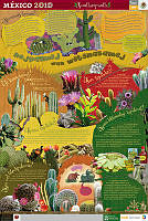 NAHUATL nopalesy.jpg